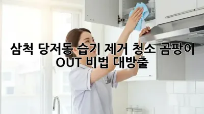 삼척 당저동 습기 제거 청소💦 곰팡이 OUT! 비법 대방출✨